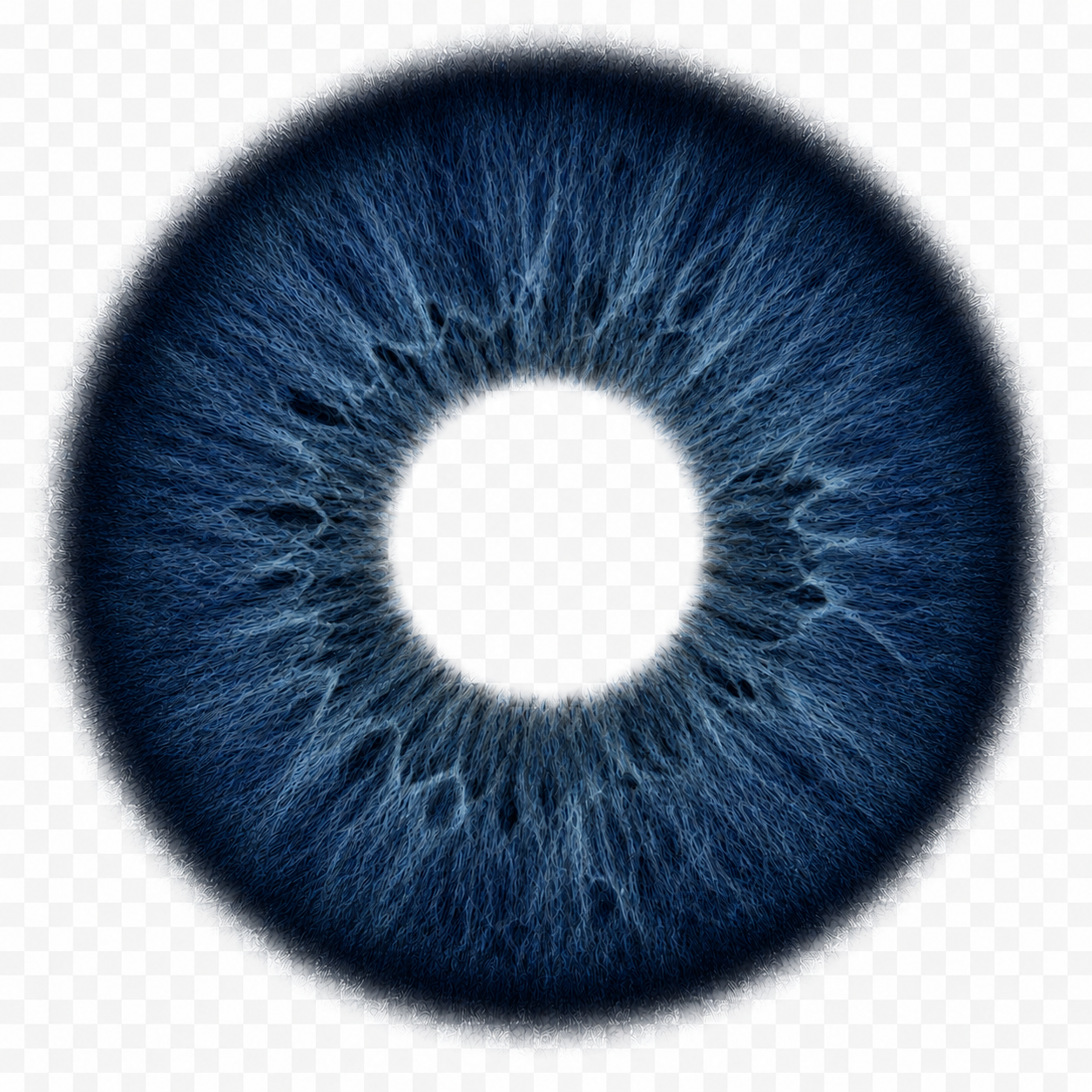bluee